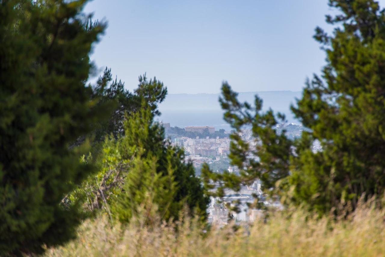 Can Faritzeo Villa San Rafael De Sa Creu Buitenkant foto